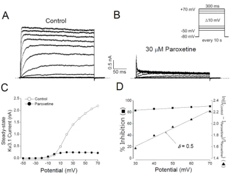 Fig. 3. The paroxetine-induced inhibition of Kv3.1 currents is dependent on membrane potential