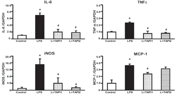 Fig. 5. Real-time PCR. Effects of TAPI1 and TAPI2 on the IL-6, TNFα, iNOS and MCP-1 in LPS-treated HK-2 cells