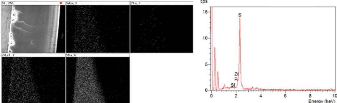 Fig. 4. EDX analysis of prepared SPAES/4Si4P2Zr composite membrane.