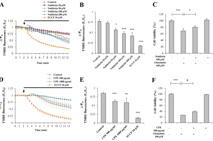 Fig. 2. The effects of nobiletin on basal ∆Ψ m  and cell viability against glutamate toxicity in primary cortical neurons