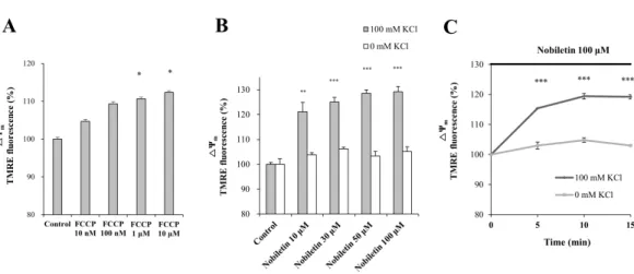 Fig. 5. The effects of K +  influx on nobiletin-induced partial mitochondrial depolarization in isolated brain mitochondria