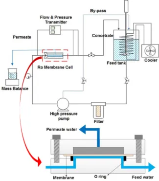 Fig. 4. A schematic diagrams of RO membrane cell-testing  apparatus and the cross-section of the membrane test cell.