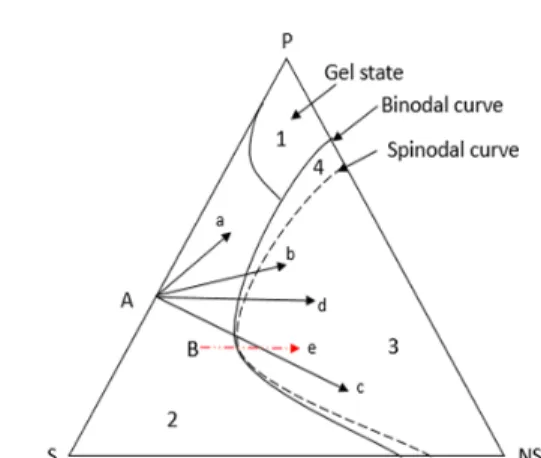Fig. 1. Polymer/solvent/non-solvent-ternary phase diagram.