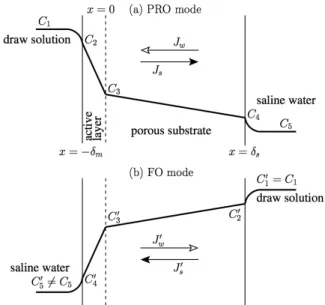 Fig. 1. A schematic representation of concentration polar- polar-ization across a skinned membrane in (a) PRO and (b) FO  modes