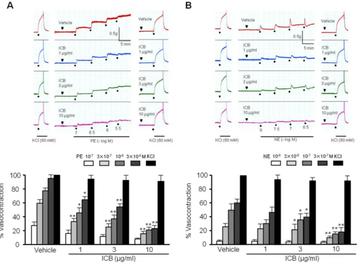 Fig. 1. Effects of α-isocubebene (ICB) on phenylephrine (PE)- and norepinephrine (NE)-induced contractions in mouse thoracic aorta