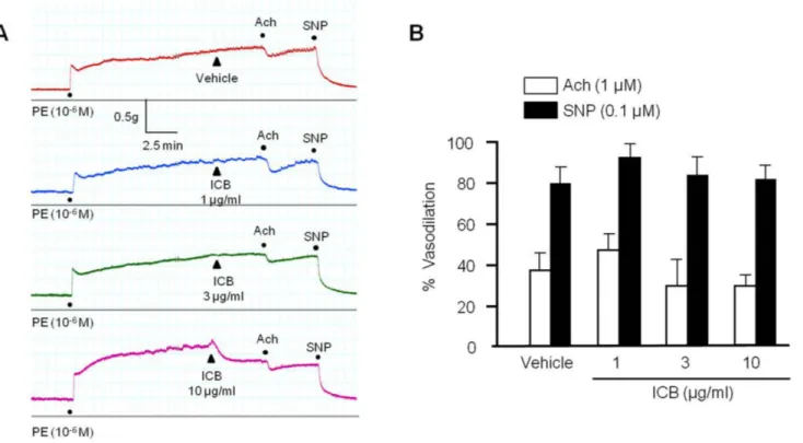 Fig. 2. Effects of α-isocubebene (ICB) on acetylcholine (Ach)- or sodium nitroprusside (SNP)-induced vasodilation in mouse thoracic aorta  pre-contracted with phenylephrine (PE, 1 μM)