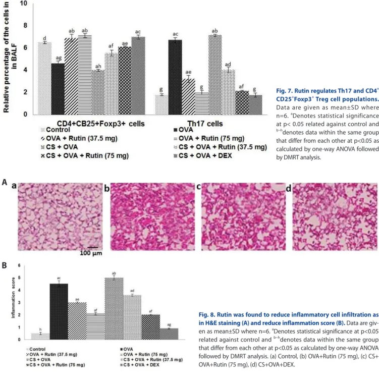 Fig. 7. Rutin regulates Th17 and CD4 + CD25 + Foxp3 +  Treg cell populations. 