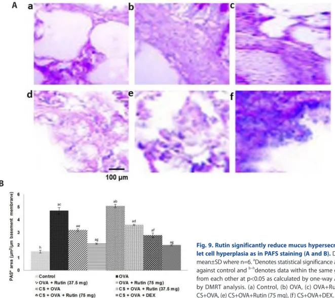Fig. 9. Rutin significantly reduce mucus hypersecretion and gob- gob-let cell hyperplasia as in PAFS staining (A and B)
