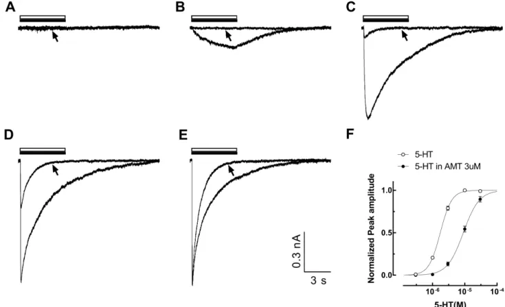 Fig. 4D shows that the calculated inhibition ratios were not  changed significantly over all the tested holding potential ranges