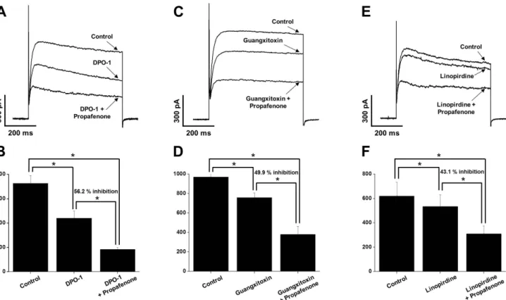 Fig. 6. The involvement of Kv1.5, Kv2.1, and Kv7 subtypes in the propafenone-induced inhibition of Kv channels