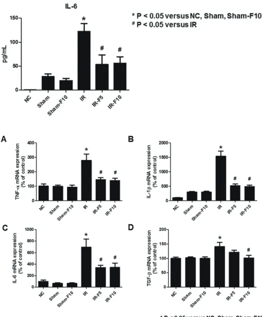 Fig. 6. mRNA levels of tumor necrosis  factor (TNF)- D, interleukin (IL)-1E,  IL-6, and transforming growth  fac-tor (TGF)- E in mouse kidney tissue