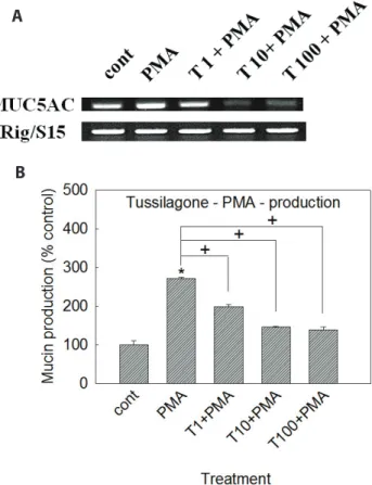 Fig. 2. Effect of tussilagone on EGF-induced MUC5AC mucin pro- pro-duction and gene expression from NCI-H292 cells