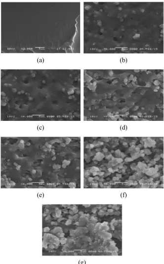 Fig. 8. Permeability of PDMS-SiO 2 ⋅ B 2 O 3  composite mem- mem-branes as a function of SiO 2 ⋅ B 2 O 3  contents.