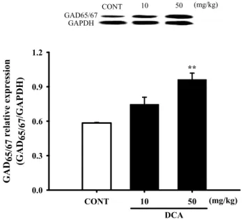 Fig. 8. Increased effects of DCA on the expression of gAD. 