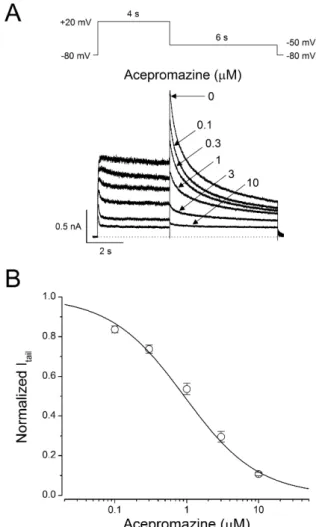 Fig. 1. Concentration-dependent inhibition of hERg currents by  acepromazine. (A) hERG currents were elicited by a 4-sec depolarizing  pulse to +20 mV from a holding potential of –80 mV and repolarization  to –50 mV for 6 sec to measure the peak tail curre