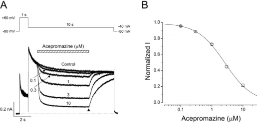 Fig. 4. Concentration-dependent effect of acepromazine on open state hERg channels. (A) The hERG currents were elicited by a 1-sec  depolarizing pulse to +60 mV from a holding potential of –80 mV, followed by a repolarizing pulse to –40 mV for 10 sec to ev