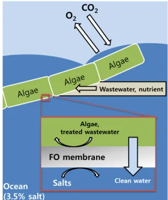 Fig. 6. Schematic diagram of fertigation using concentrated fertilizer as a draw solution and brackish groundwater as a feed solution[14].