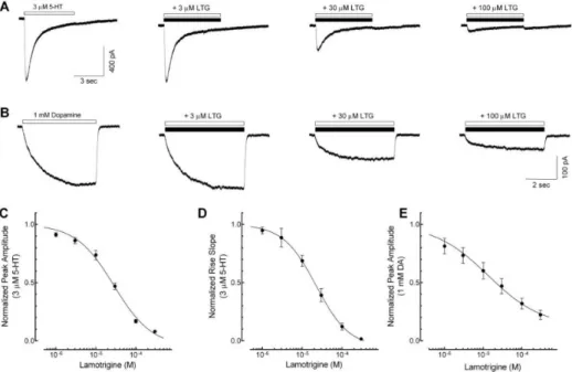 Fig. 2A shows the representative 5-HT 3  receptor currents  evoked by 1, 3, 10, 30 mM of 5-HT with or without lamotrigine  co-application (30 mM, near IC 50  based on other experiments  mentioned in this study) to study whether lamotrigine inhibits  the 5-