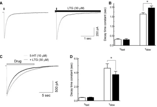 Fig. 5. Effects of lamotrigine on 5-HT 3  receptor deactivation and desensitization. (A) Representative traces show currents evoked by 5-HT (10 mM,  10 msec, indicated by arrow) in the absence (left) and presence (right) of lamotrigine (LTG, 30 mM, closed 