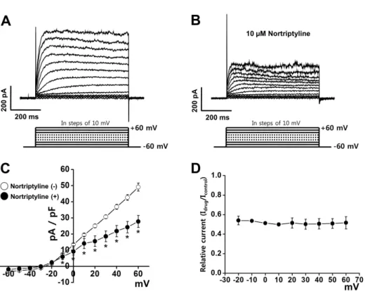 Fig. 1. Effects of nortriptyline on  voltage-dependent K +  (Kv) channel  currents. Representative Kv currents  were elicited by 600-ms depolarizing  step pulses from –60 to +60 mV in steps  of 10-mV at a holding potential of –60  mV in the control conditi