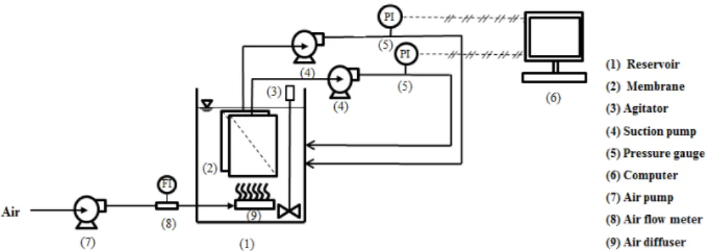Fig. 2. Schematic flow diagram of the submerged flat sheet membrane system[16].