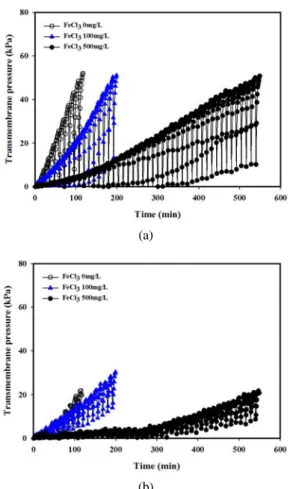 Fig. 7. Transmembrane pressure of the MLSS 5,000 mg/L  activated sludge solution with FeCl 3  500 mg/L at aeration  rate 1 L/min, 25°C and permeate flux 25 L/m 2 ⋅hr for (a) R/S and (b) SFCO operational modes.
