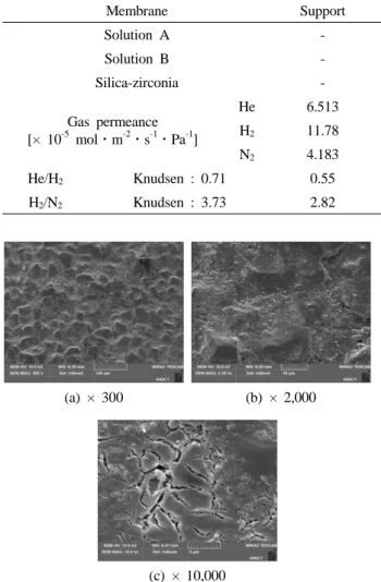 Fig. 10. FE-SEM images of surface of silica-zirconia mem- mem-brane on the modified α-alumina support with Solution A and B