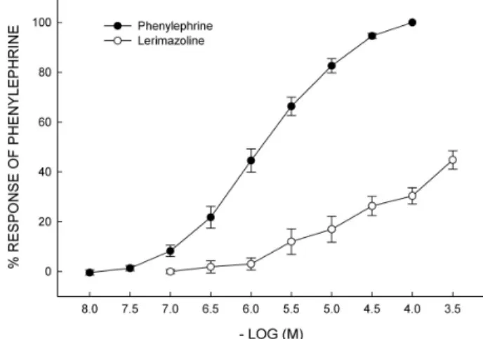 Fig. 2. Vascular responses to phenylephrine in blood vessels exposed to different concentrations of lerimazoline