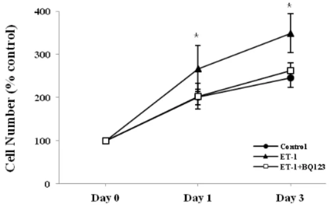 Fig. 2. Changes in osteoblast proliferation by ET-1and an ET A R antagonist BQ123. ET-1 (10 nM) was added in 0.5%