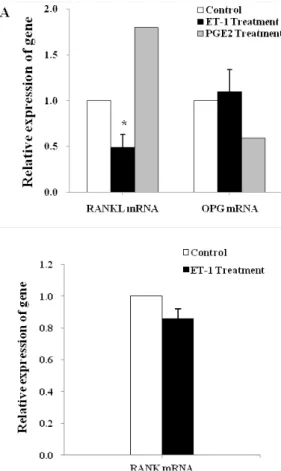 Fig. 4. Effect of ET-1 on PGE2 production in osteoblastic cells. Cells were incubated in serum-and phenol red -free medium for 24 hr
