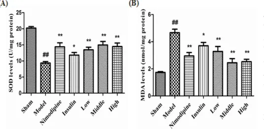 Fig. 7. the effect of rhGLP-1 (7-36) on  the activities of Sod and the contents  of MdA