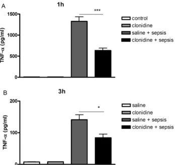Fig. 10. Effect of clonidine administered spinally on liver p-AMPKα1, p-AMPKα2, p-mtor, p-tyk2 expression in control and sepsis groups