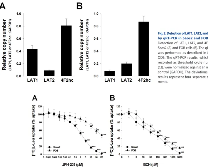 Table 1 lists the IC 50  values of JPH203 and BCH in Saos2 and FOB  cells at set time points