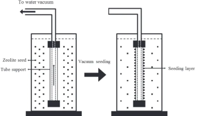 Fig. 1. A schematic representation of vacuum-assisted filtra- filtra-tion process for seed coating on α-alumina support.