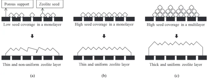 Fig. 9. A schematic representation for secondary growth of NaA zeolite layer on α-alumina supports with different seed  amounts