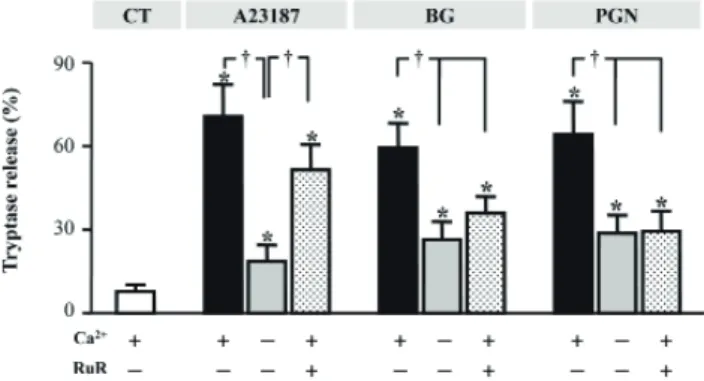 Fig. 4. Degranulation analysis by tryptase release measurement. 