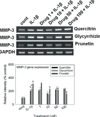 Fig. 3. Effect of prunetin on proliferation of rabbit chondrocytes.  
