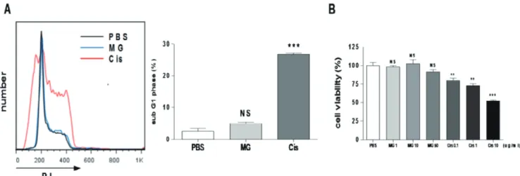 Fig. 4. Methyl gallate has no effect on the cell cycle and the viability of EL4 cells
