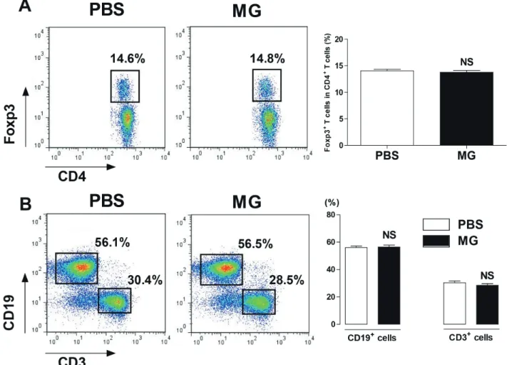 Fig. 5. Methyl gallate has no effect on immune cell proportions in the spleen. Splenocytes were prepared from Foxp3 EGFP  mice injected with  methyl gallate (20 mg/kg, every day for 5 days)