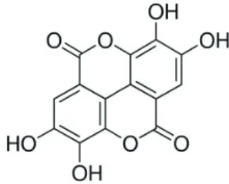 Fig. 1. The chemical structure of ellagic acid (EA).