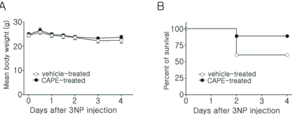 Fig. 2. Body-weight change and survival rates after 3NP injection in mice. (A) Body weight was measured at 12-h intervals during the 3NP  injections (60, 60, 80, and 80 mg/kg) and daily for the remaining three days