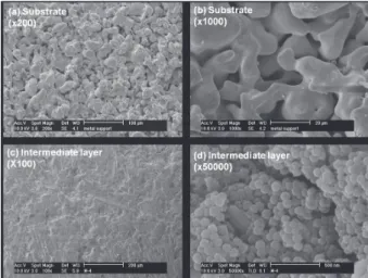 Fig. 6. FE-SEM images of surface section for support and in- in-termediate-layer-coated silica membrane for M-1 membrane.