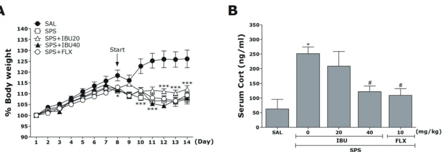 Fig. 2. The effects of IBU administration on body weights gain (A) and serum CORT levels (B) of rats exposed to SPS