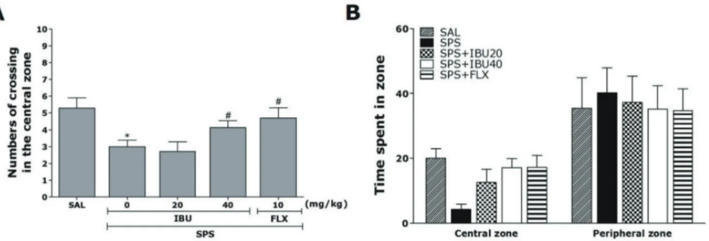 Fig. 4. The effects of IBU administration on locomotion and exploratory behavior in the open-field test following SPS