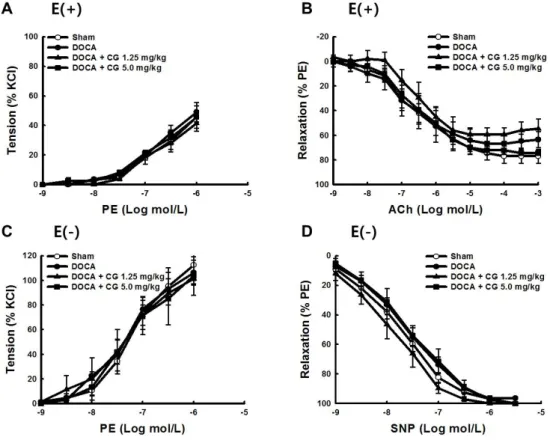 Fig. 2. Effects of CG200745 on aortic ring contraction and relaxation in deoxycorticosterone acetate (DOCA)-induced hypertensive rats