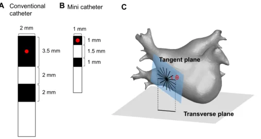 Fig. 1. Design and configuration of  the virtual bipolar catheter. (A) Design  of the conventional bipolar catheter  (conv-cath)