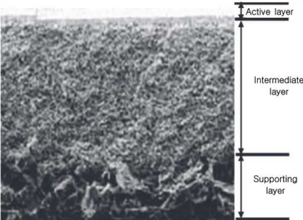 Fig. 3. SEM image of ceramic membrane.