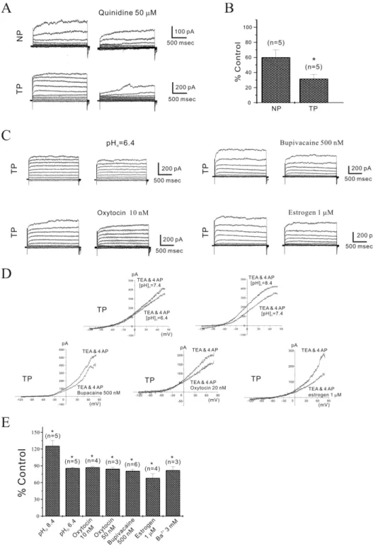 Fig. 3. Regulation of TEA and 4-AP  insensitive non-inactivating outward  current (NIOK) in single mouse  my-ometrial cells