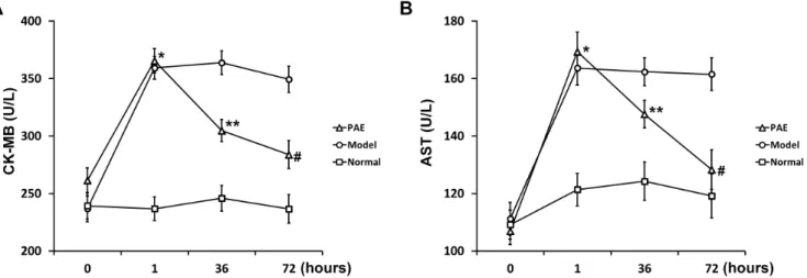 Fig. 2. CK-MB (A) and AST (B) test of rats in PAE, Model and Normal experimental groups (see Materials and Methods section) at indicated  time points