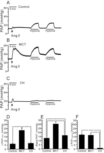 Fig. 2. Comparison of HPV, basal PAP, and Ang II-induced DPAP  in V/P lungs of the control, PAH-MCT, and PAH-CH rats